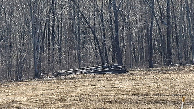 Move-in ready homes available – but just for Timber rattlesnakes in Ohio.