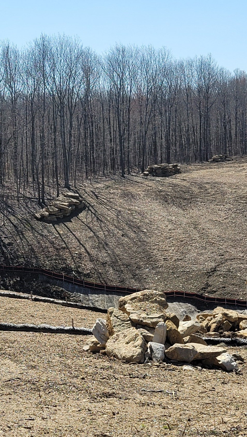 Move-in ready homes available – but just for Timber rattlesnakes in Ohio.