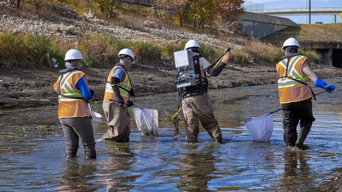 Apply-for-funding-TroutUnlimited.jpg