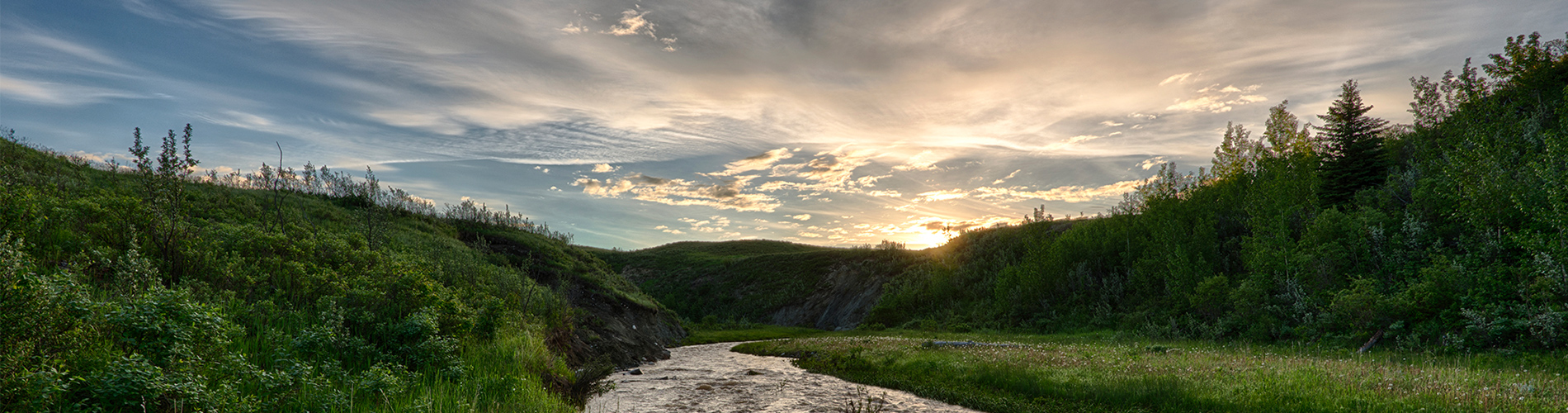 Alberta sunset