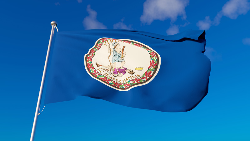 Virginia flag