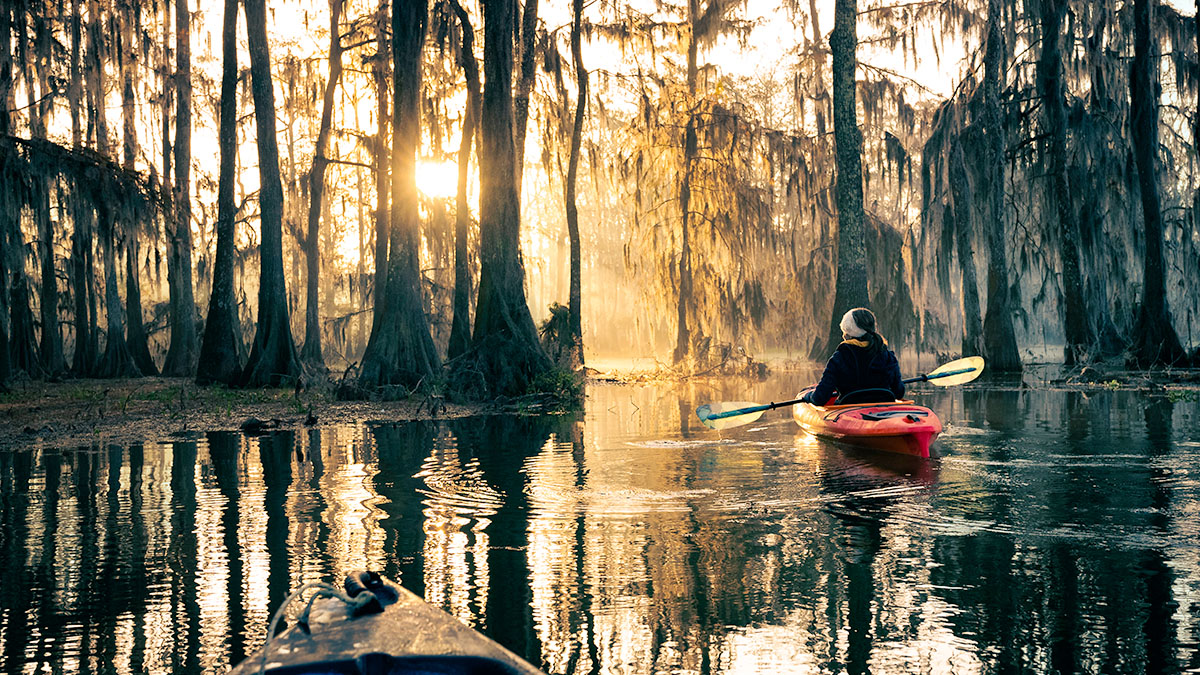 The sun peeking through trees on water