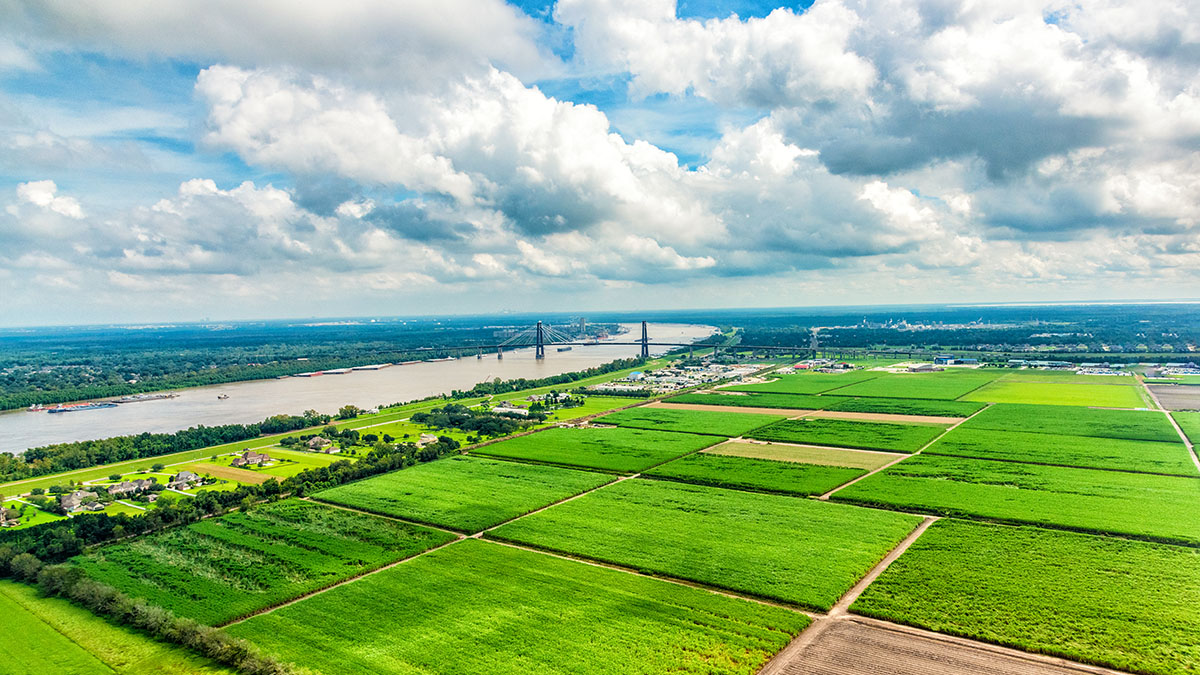 An arial shot of a field