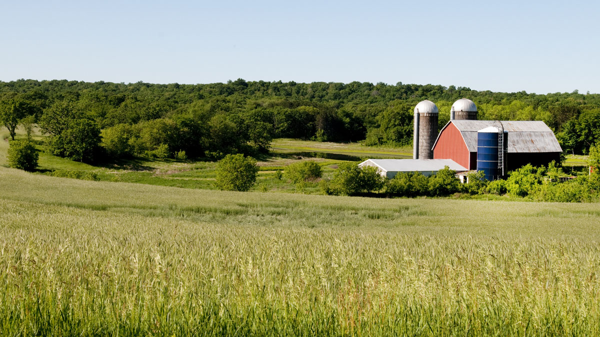 A farm in Wisconsin
