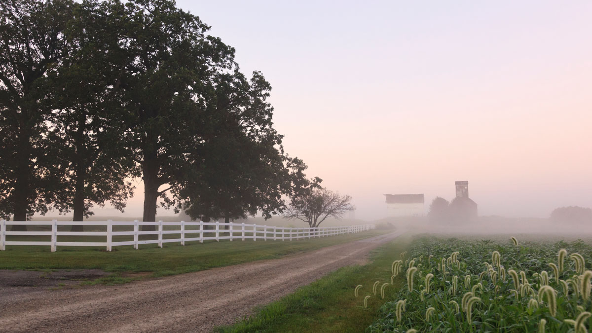 Foggy country road in Ohio