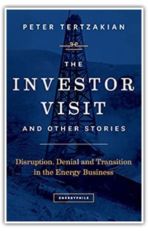 The Investor Visit