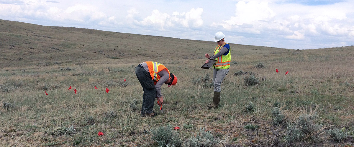 Studying the success of land reclamation efforts after construction of the Keystone Pipeline