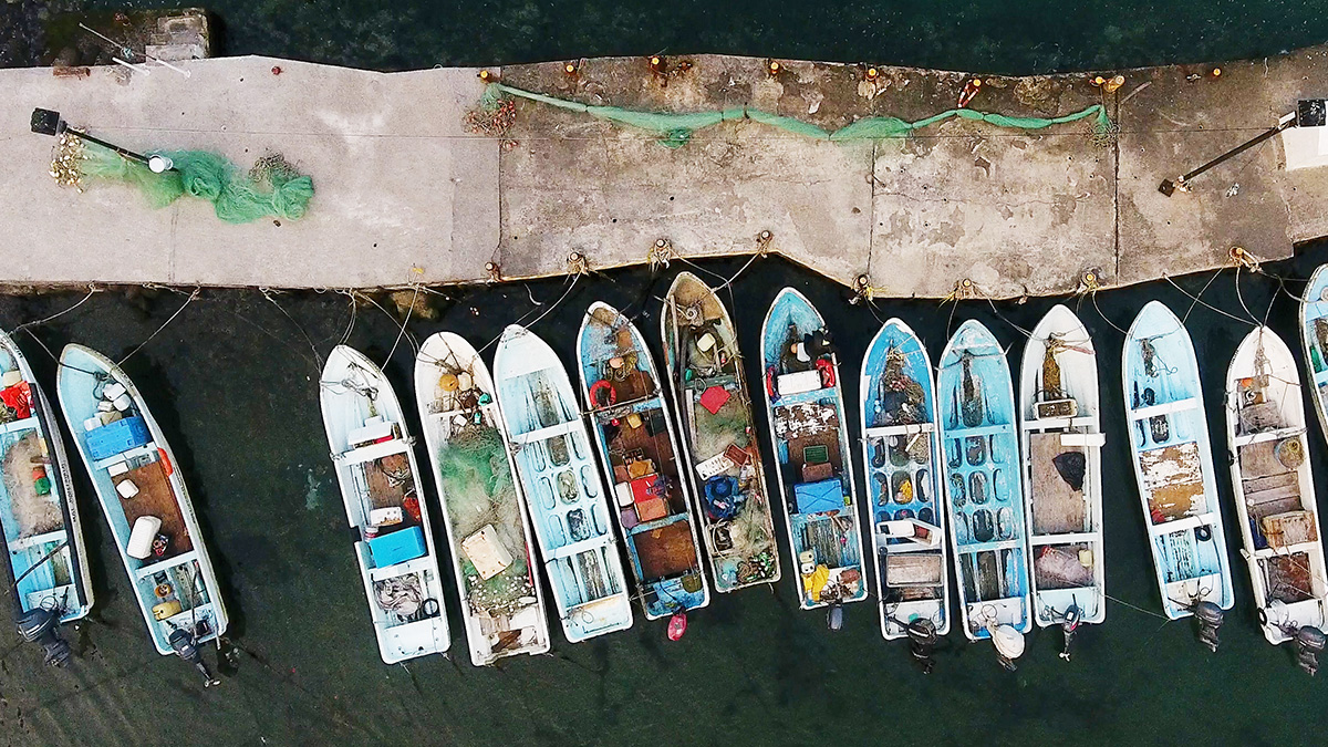 Marina, boats tied up