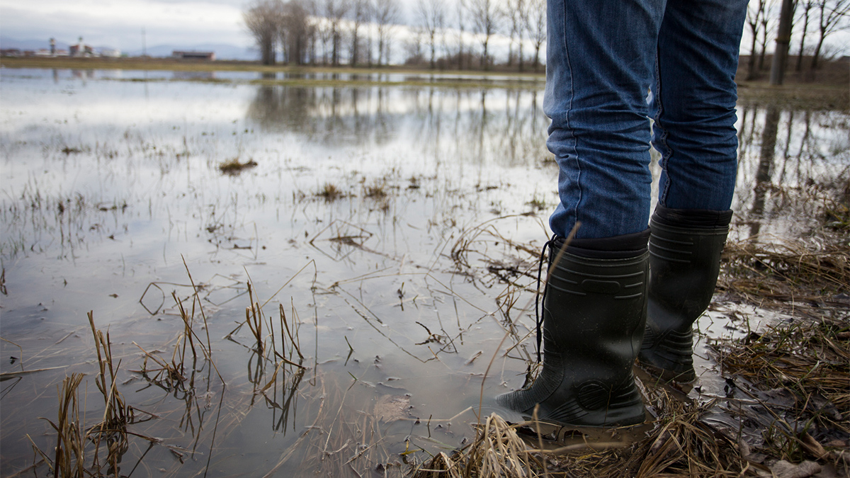 DrainingOrTrenching-1200x675.jpg