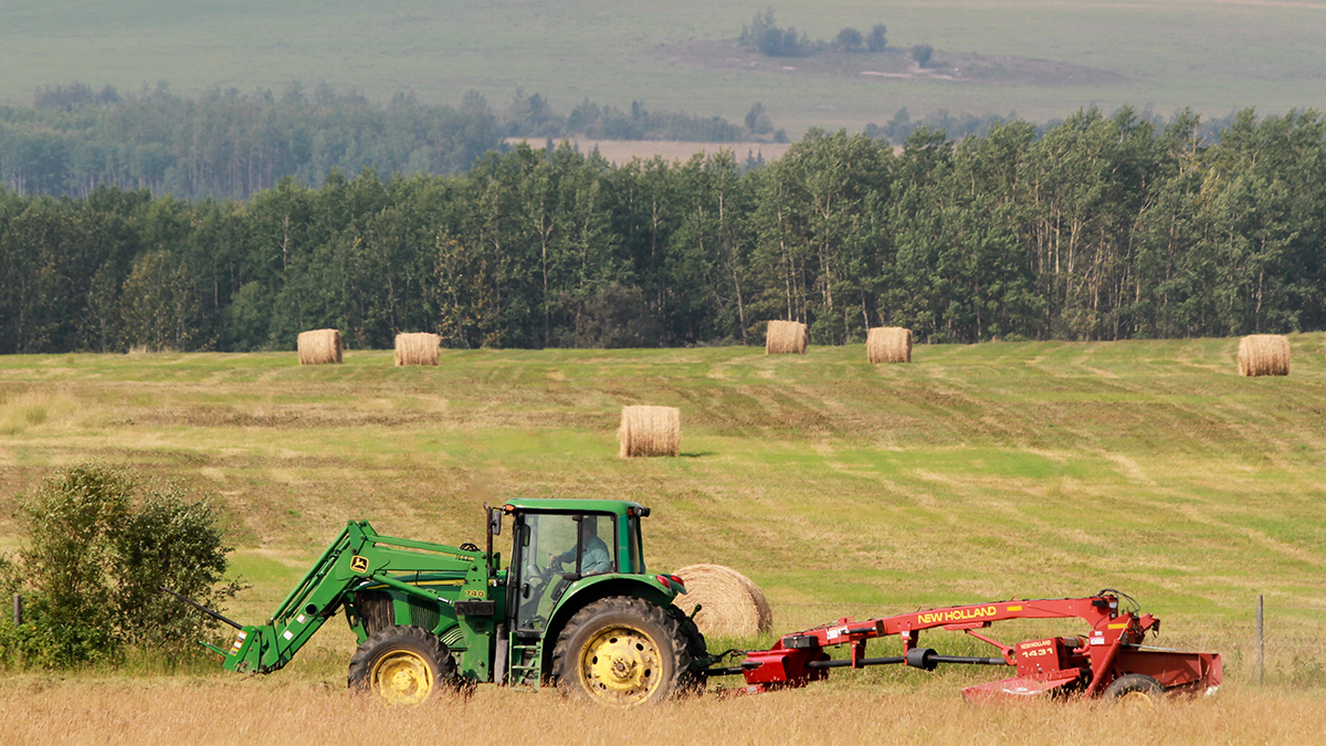 FarmingAndAgriculture-1200x675.jpg