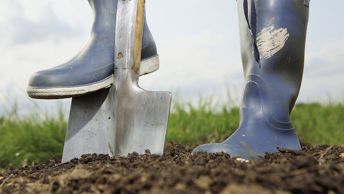 Boot pushing shovel in ground