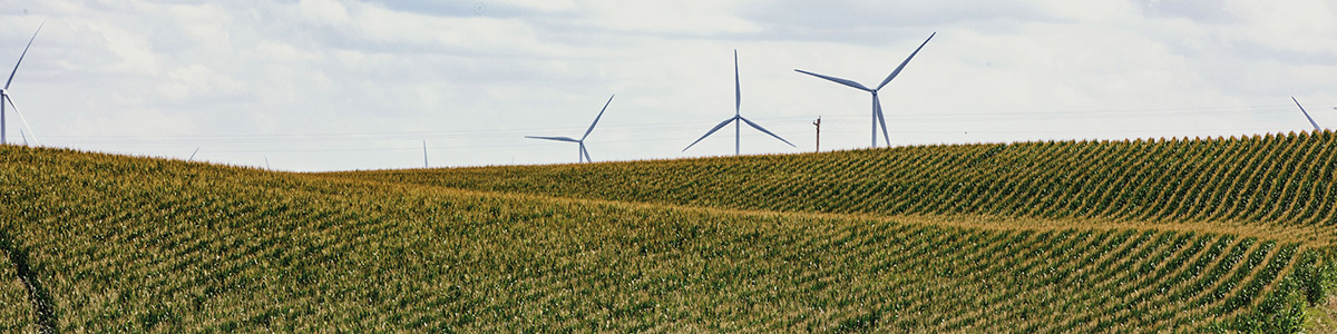 Embracing the energy transition